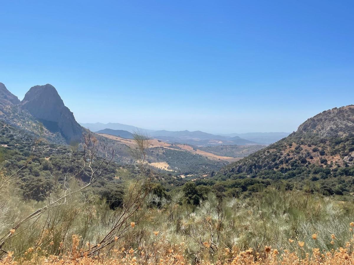 Cortijo Rancho Verde コルメナル エクステリア 写真