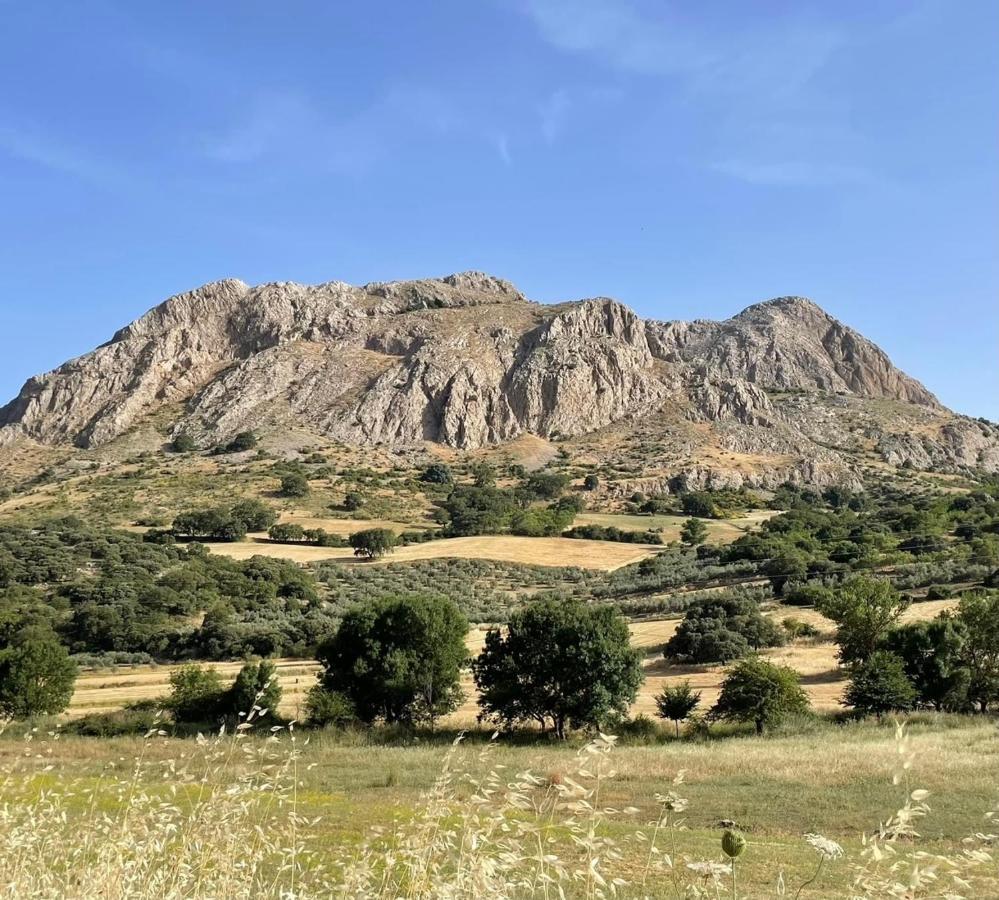 Cortijo Rancho Verde コルメナル エクステリア 写真