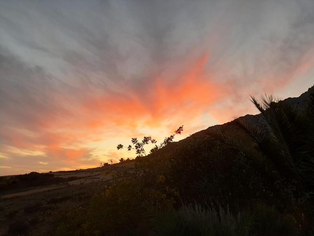 Cortijo Rancho Verde コルメナル エクステリア 写真