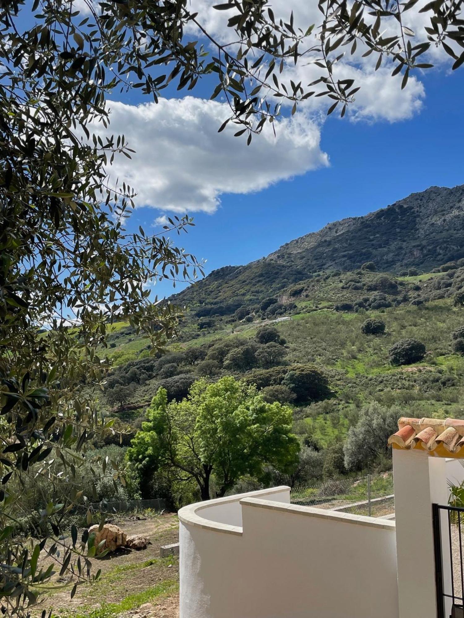 Cortijo Rancho Verde コルメナル エクステリア 写真