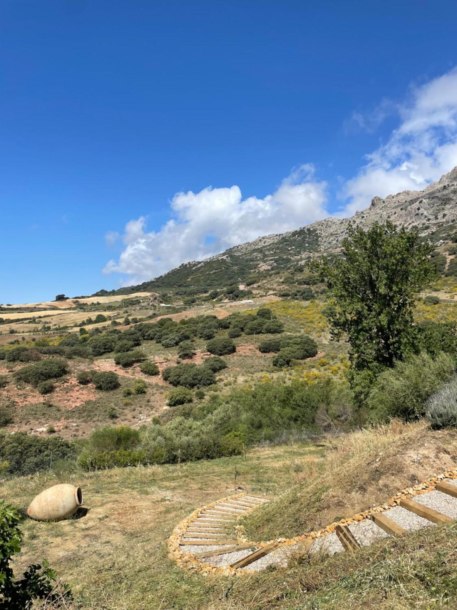 Cortijo Rancho Verde コルメナル エクステリア 写真