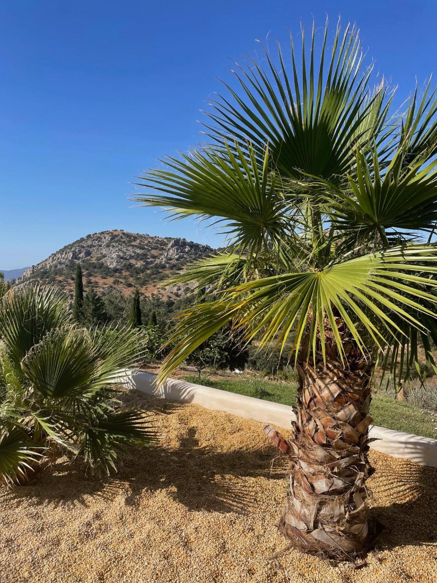 Cortijo Rancho Verde コルメナル エクステリア 写真